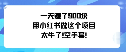 一天挣了9张用小红书做这个项目太牛了，空手套-保成圈-山云人力,分享创业咨询_最新网络项目资源