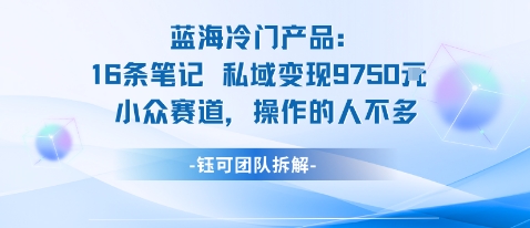 蓝海项目：16条笔记私域变现9750米小众赛道操作的人不多-保成圈-山云人力,分享创业咨询_最新网络项目资源