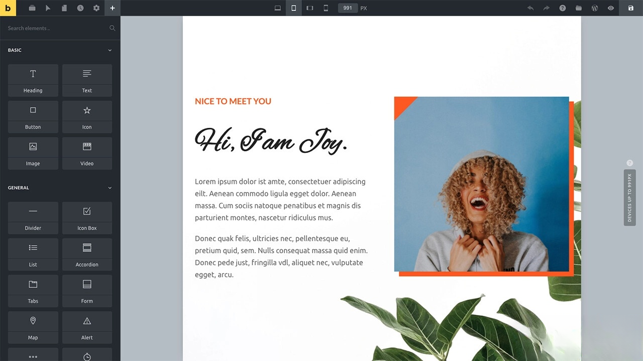 WordPress主题Bricks v1.9 破解版-保成圈-山云人力,分享创业咨询_最新网络项目资源
