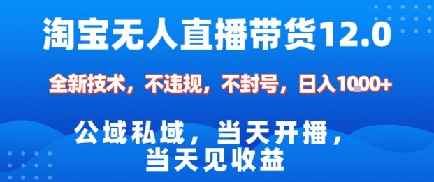 淘宝无人直播12.0，公域私域技术，不封号，不违规布局双十一流量风口，日入1k(独家技术)【揭秘】-保成圈-山云人力,分享创业咨询_最新网络项目资源