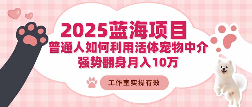 2025蓝海项目：普通人如何利用活体宠物中介，强势翻身月入10万-保成圈-山云人力,分享创业咨询_最新网络项目资源