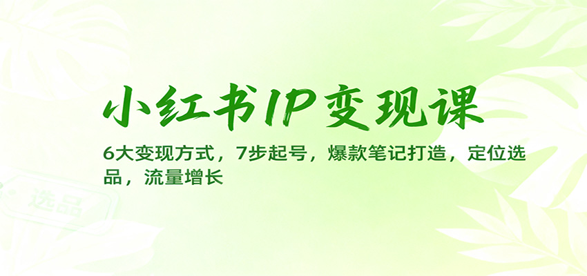 小红书IP变现课：6大变现方式，7步起号，爆款笔记打造，定位选品，流量增长-保成圈-山云人力,分享创业咨询_最新网络项目资源