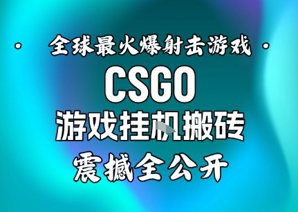 【年底大揭秘】基于全球最火爆的射击CSGO游戏挂G搬砖，日入5张+，震撼公开-保成圈-山云人力,分享创业咨询_最新网络项目资源