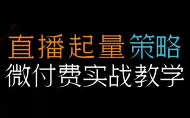 半野老师·直播带货起量与微付费必学课视频号-保成圈-山云人力,分享创业咨询_最新网络项目资源