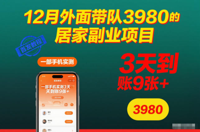 12月外面带队3980的居家副业项目，一部手机实测3天到账9张+，首发教程【揭秘】-保成圈-山云人力,分享创业咨询_最新网络项目资源