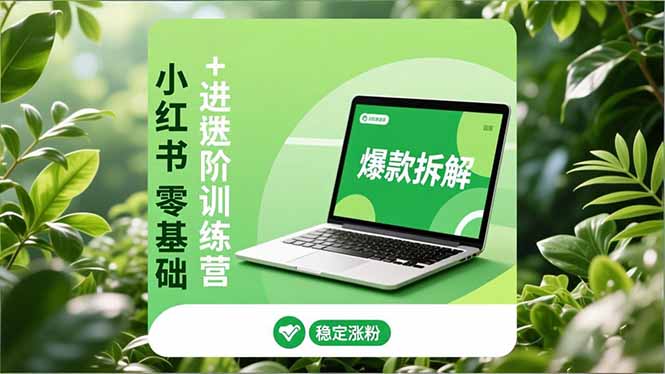小红书零基础+高阶训练营：安全养号、爆款拆解、长效运营，实现稳定涨粉与变现-保成圈-山云人力,分享创业咨询_最新网络项目资源