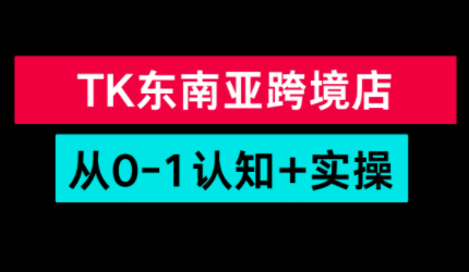 TikTok东南亚跨境从0-1认知实操课-保成圈-山云人力,分享创业咨询_最新网络项目资源