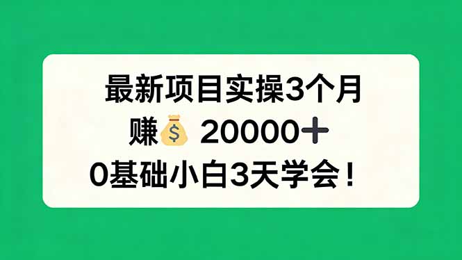 最新项目实操3个月，赚钱20000+，0基础小白3天学会！-保成圈-山云人力,分享创业咨询_最新网络项目资源