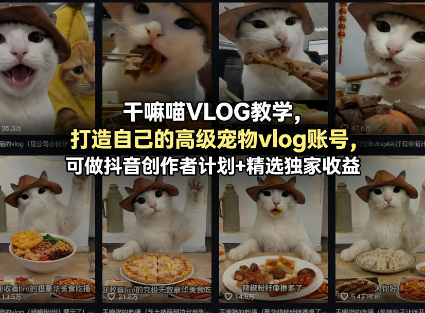 干嘛喵VLOG教学，打造自己的高级宠物vlog账号，可做抖音创作者计划+精选独家收益-保成圈-山云人力,分享创业咨询_最新网络项目资源