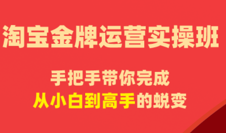 飓风电商·淘宝金牌运营实操班-保成圈-山云人力,分享创业咨询_最新网络项目资源