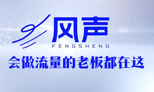 董十一·风声短视频AI获客年度会员-保成圈-山云人力,分享创业咨询_最新网络项目资源