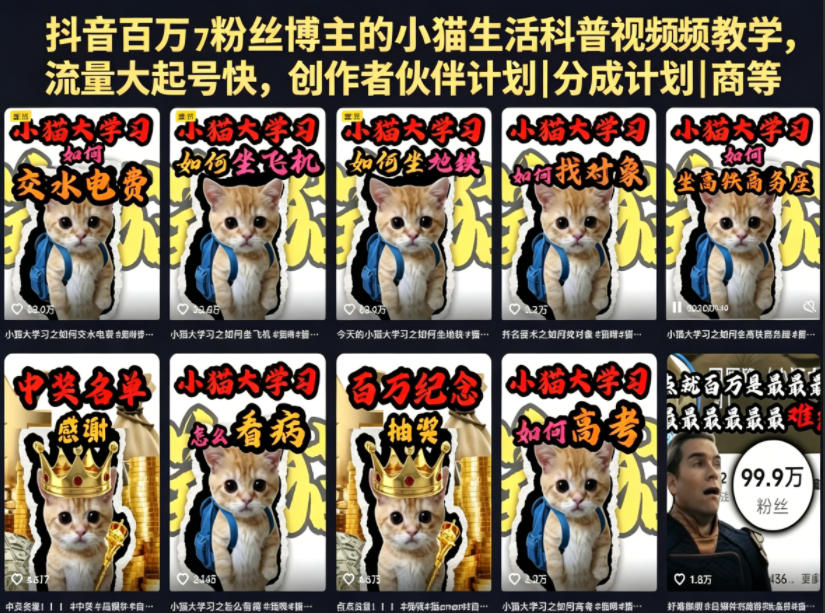 抖音百万粉丝博主的小猫生活科普视频教学，流量大起号快，创作者伙伴计划|分成计划|商单|收徒等-保成圈-山云人力,分享创业咨询_最新网络项目资源