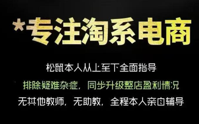 松鼠会电商VIP课程，从基础布局到高阶优化，助你掌握淘宝运营逻辑，提升店铺流量与转化(更新0809)-保成圈-山云人力,分享创业咨询_最新网络项目资源