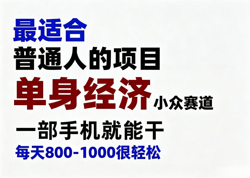 身经济小众赛道，一部手机就能干，每天搞个800-1000很轻松，最适合普通人的项目【揭秘】-保成圈-山云人力,分享创业咨询_最新网络项目资源