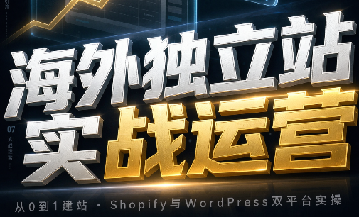 海外独立站实战运营-保成圈-山云人力,分享创业咨询_最新网络项目资源