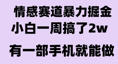 情感暴力掘金项目，新人操作一周挣了2W，长期稳定小白可做【揭秘】-保成圈-山云人力,分享创业咨询_最新网络项目资源