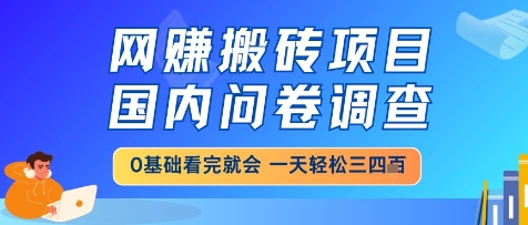 网创搬砖项目，国内问卷调查，小白轻松上手，一天三四张的也不难，干就完了【揭秘】-保成圈-山云人力,分享创业咨询_最新网络项目资源