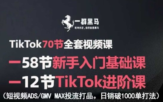 TikTok全套视频课，新手入门+进阶课，短视频ADS-GMV MAX投流打品，日销破1000单打法-保成圈-山云人力,分享创业咨询_最新网络项目资源