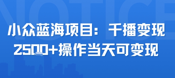 小众蓝海项目，千播变现2.5k+操作当天可变现-保成圈-山云人力,分享创业咨询_最新网络项目资源