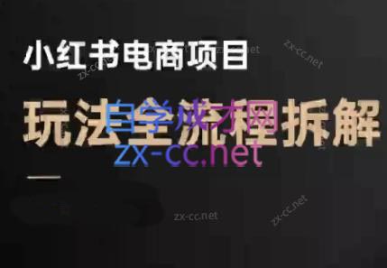 菲菲老师·小红书电商玩法(更新7月)-保成圈-山云人力,分享创业咨询_最新网络项目资源