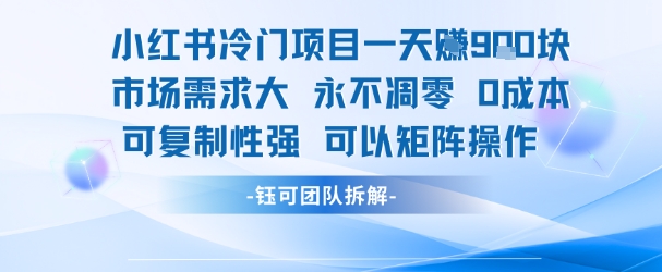 小红书冷门项目一天收益9张，市场需求大，0成本，可复制性强可以矩阵操作-保成圈-山云人力,分享创业咨询_最新网络项目资源