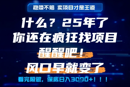 什么？25年你还在疯狂找项目做，醒醒吧，看完这些你全都懂了！【揭秘】-保成圈-山云人力,分享创业咨询_最新网络项目资源
