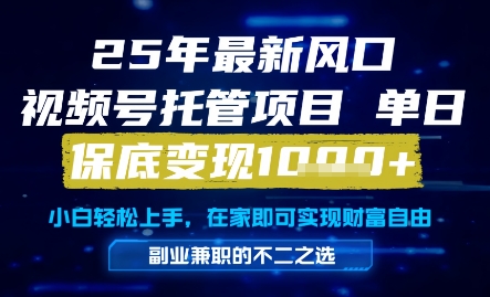 25年最新风口，视频号托管项目，单日保底变现1k+，手把手教学【揭秘】-保成圈-山云人力,分享创业咨询_最新网络项目资源