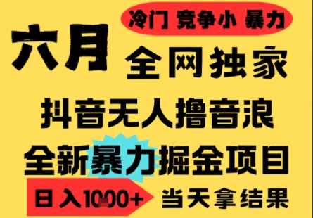 25年6月高爆抖音无人直播最新撸音浪掘金项目，小白可做，无脑日入1k+，门槛低可批量矩阵【揭秘】-保成圈-山云人力,分享创业咨询_最新网络项目资源