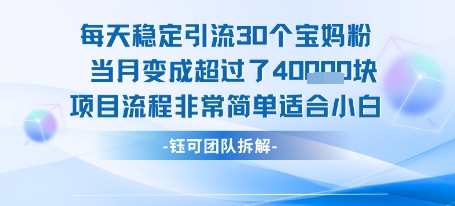 每天稳定引流30个人 当月变成超过了4个W项目流程非常简单适合小白-保成圈-山云人力,分享创业咨询_最新网络项目资源