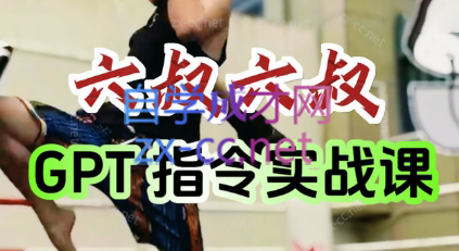 六叔的AI指令实战课(更新7月)-保成圈-山云人力,分享创业咨询_最新网络项目资源