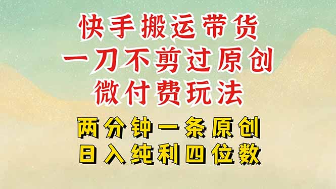 快手黑科技搬运带货，一刀不剪过原创，微付费投流玩法，轻松日入四位数…-保成圈-山云人力,分享创业咨询_最新网络项目资源