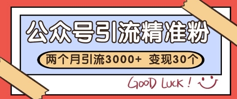 公众号精准粉引流玩法，2个月3000+精准粉，变现30个W【揭秘】-保成圈-山云人力,分享创业咨询_最新网络项目资源