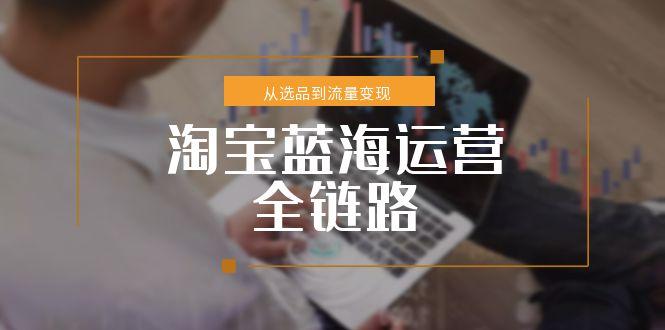 淘宝蓝海运营全链路，从选品到流量变现，小类目突围完整方案-保成圈-山云人力,分享创业咨询_最新网络项目资源