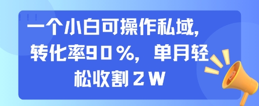 一个小白可操作私域，转化率90%，单月轻松收割2W-保成圈-山云人力,分享创业咨询_最新网络项目资源