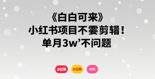 小白可来 小红书项目不需要剪辑 单月3w不是问题-保成圈-山云人力,分享创业咨询_最新网络项目资源