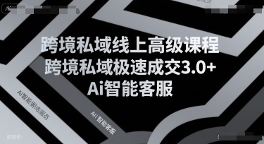 跨境私域线上高级课程，跨境私域极速成交3.0+Ai智能客服-保成圈-山云人力,分享创业咨询_最新网络项目资源
