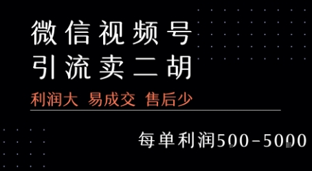 视频号卖二胡教程，利润大 易成交 售后少，一单利润5张+-保成圈-山云人力,分享创业咨询_最新网络项目资源