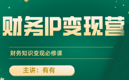 有有老师·财务IP变现营，财务知识变现必修课-保成圈-山云人力,分享创业咨询_最新网络项目资源