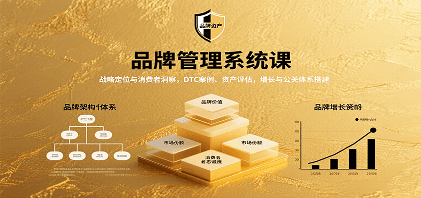 品牌管理系统课：战略定位与消费者洞察，DTC案例、资产评估，增长与公关体系搭建-保成圈-山云人力,分享创业咨询_最新网络项目资源