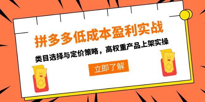 拼多多低成本盈利实战，类目选择与定价策略，高权重产品上架实操-保成圈-山云人力,分享创业咨询_最新网络项目资源
