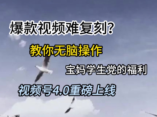 视频号4.0重磅上线，爆款视频难复刻？教你无脑操作宝妈学生党的福利【揭秘】-保成圈-山云人力,分享创业咨询_最新网络项目资源