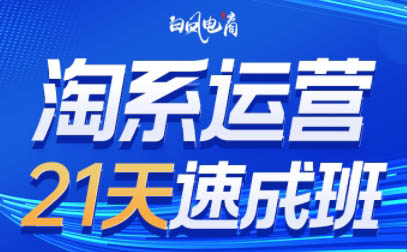 白凤电商·淘系运营21天速成班(更新6月)-保成圈-山云人力,分享创业咨询_最新网络项目资源
