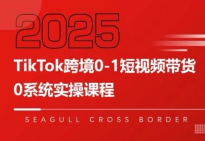 大亿老师·TikTok跨境0-1短视频带货-保成圈-山云人力,分享创业咨询_最新网络项目资源