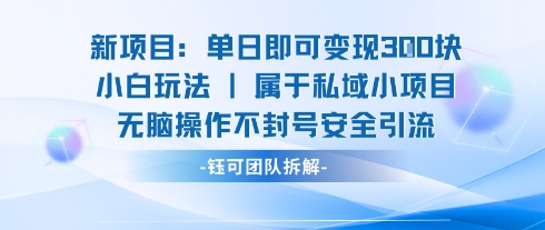 新项目单日即可变现3张的小白玩法无脑操作不封号安全引流-保成圈-山云人力,分享创业咨询_最新网络项目资源