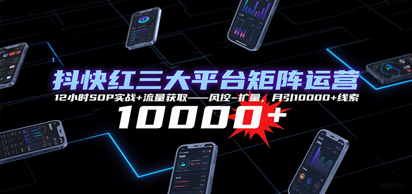 抖快红三大平台矩阵运营，12小时SOP实战+流量获取-风控-扩量，月引10000+线索-保成圈-山云人力,分享创业咨询_最新网络项目资源