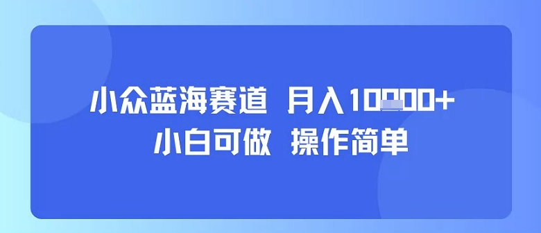 小众蓝海赛道，小白可做，操作简单，每天30分钟，月入1W+-保成圈-山云人力,分享创业咨询_最新网络项目资源