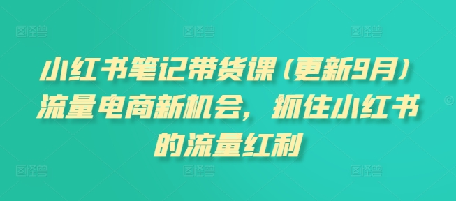 小红书笔记带货课(更新25年5月)流量电商新机会，抓住小红书的流量红利-保成圈-山云人力,分享创业咨询_最新网络项目资源
