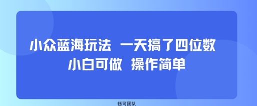 小众蓝海玩法 一天搞了四位数 小白可做 操作简单-保成圈-山云人力,分享创业咨询_最新网络项目资源