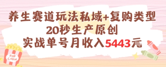 养生赛道玩法私域+复购类型，20秒生产原创实战单号月收入5k+-保成圈-山云人力,分享创业咨询_最新网络项目资源