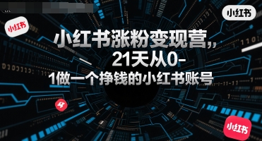 小红书涨粉变现营，21天从0-1做一个挣钱的小红书账号-保成圈-山云人力,分享创业咨询_最新网络项目资源